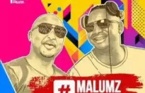 Malumz on Decks - Inkomo Zakhe (Remix) Ft. Akhona